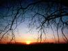 Winter Sunset
